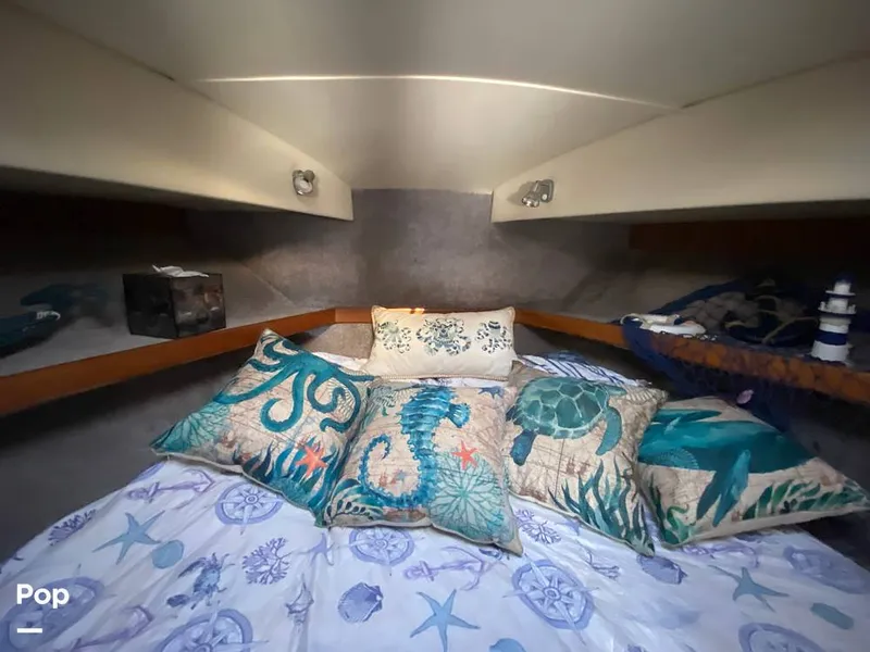 Slide: The Image of Pacemaker 37 1990 - 15912378