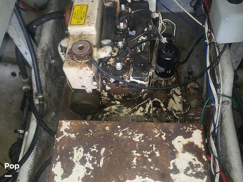 Slide: The Image of Pacemaker 37 1990 - 15984341