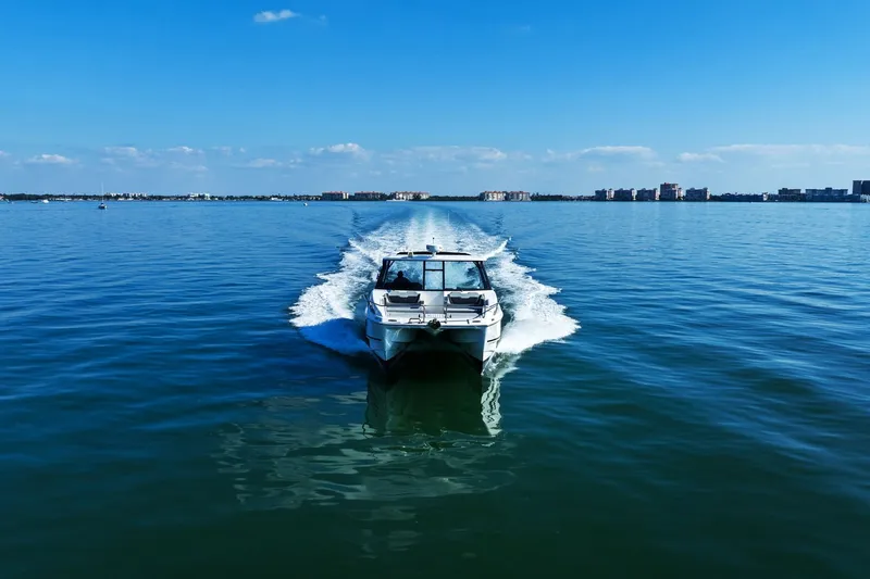 Slide: The Image of Aquila 36 2020 - 14