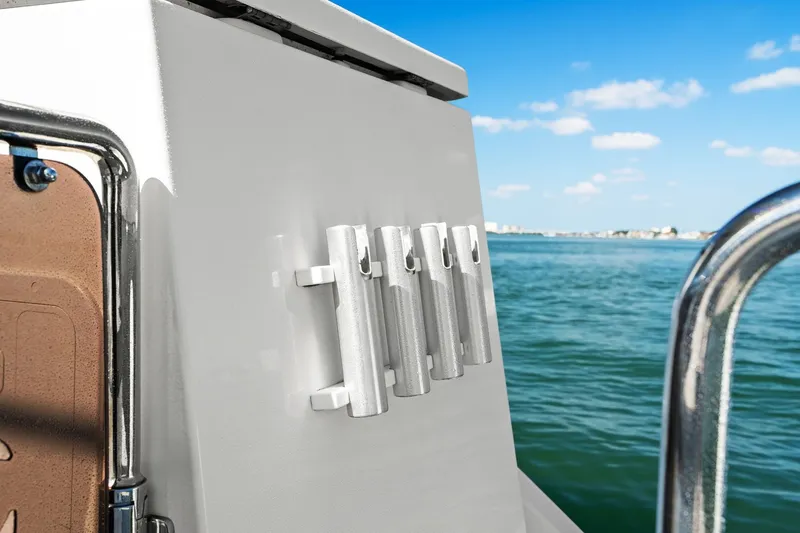 Slide: The Image of Aquila 36 2020 - 26