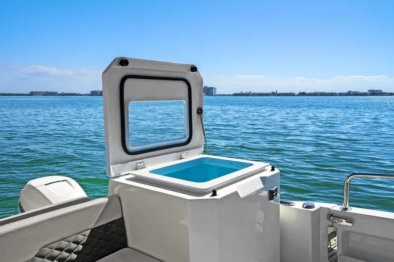 Slide: The Image of Aquila 36 2020 - 28