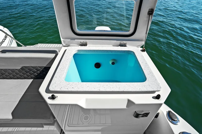 Slide: The Image of Aquila 36 2020 - 29