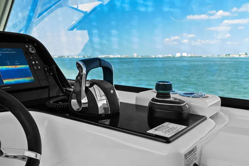 Slide: The Image of Aquila 36 2020 - 41