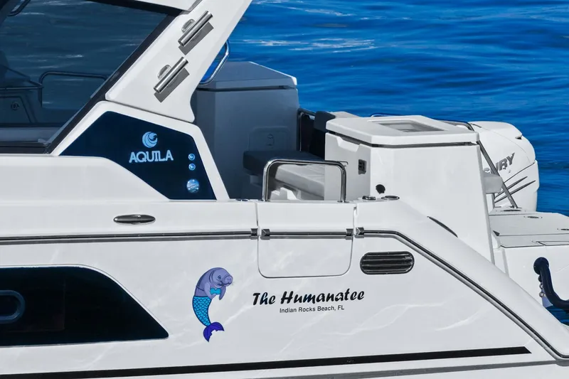 Slide: The Image of Aquila 36 2020 - 7