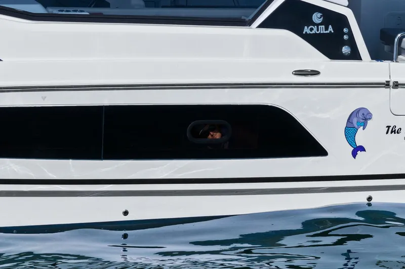 Slide: The Image of Aquila 36 2020 - 8