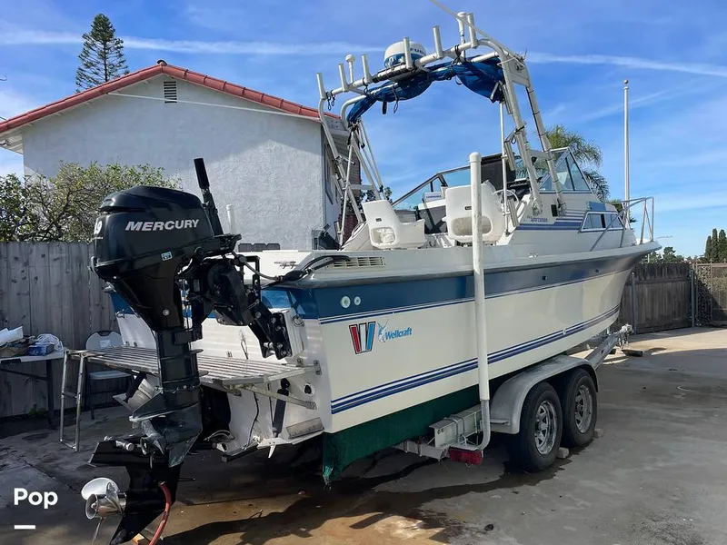 Slide: The Image of Wellcraft 250 Sportsman 1990 - 13713184