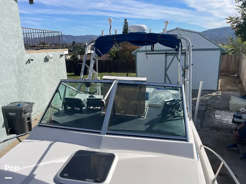 Slide: The Image of Wellcraft 250 Sportsman 1990 - 13713352