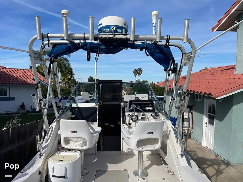 Slide: The Image of Wellcraft 250 Sportsman 1990 - 13713189