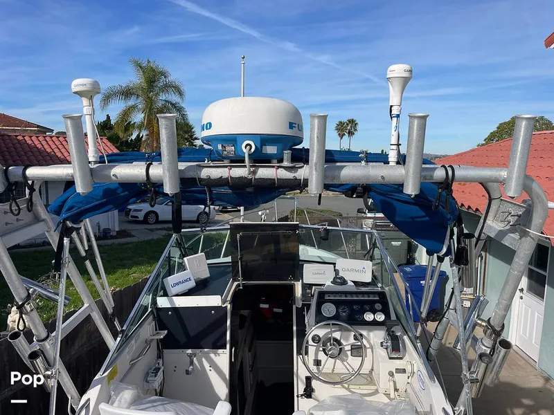 Slide: The Image of Wellcraft 250 Sportsman 1990 - 13713191