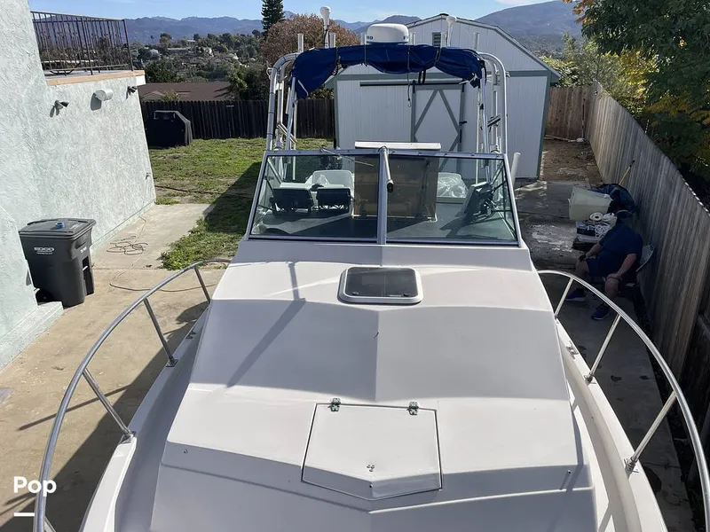 Slide: The Image of Wellcraft 250 Sportsman 1990 - 13713351