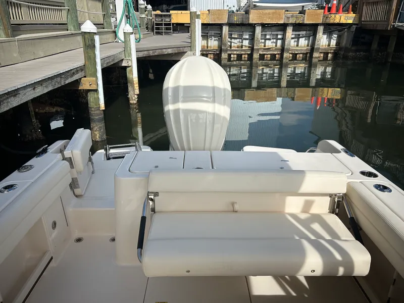 Slide: The Image of Grady-White Freedom 235 2026 - 10