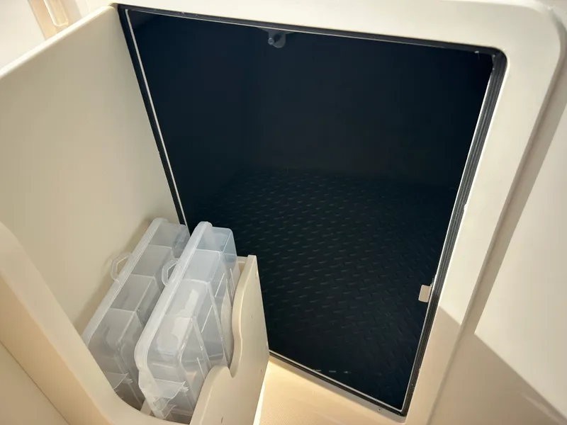 Slide: The Image of Grady-White Freedom 235 2026 - 22