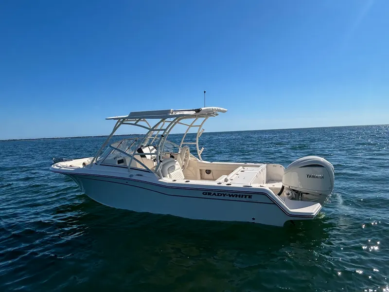 Slide: The Image of Grady-White Freedom 235 2026 - 3