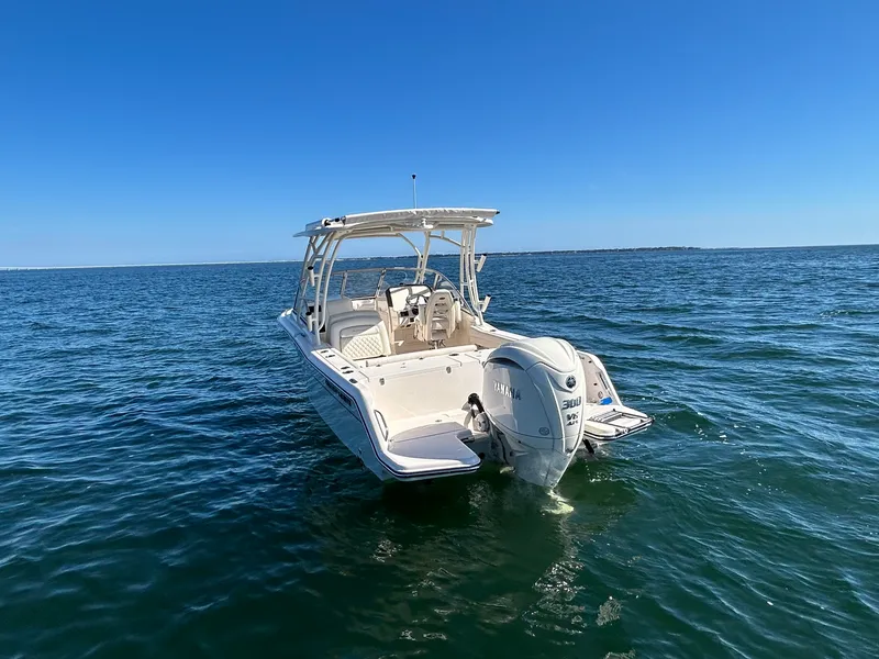 Slide: The Image of Grady-White Freedom 235 2026 - 4