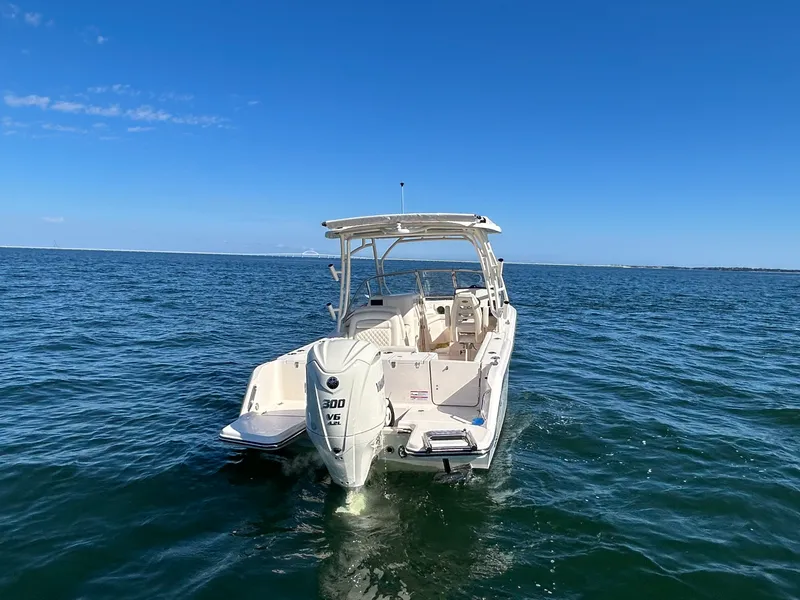 Slide: The Image of Grady-White Freedom 235 2026 - 5