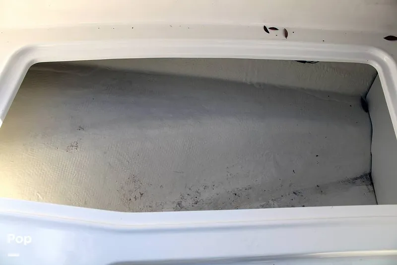 Slide: The Image of Bayliner DX 2000 2023 - 13746594