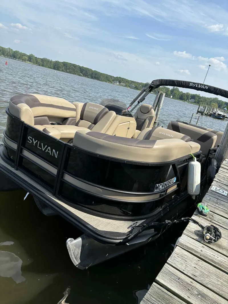 The Image of Sylvan L1 DLZTT 2022 - 0