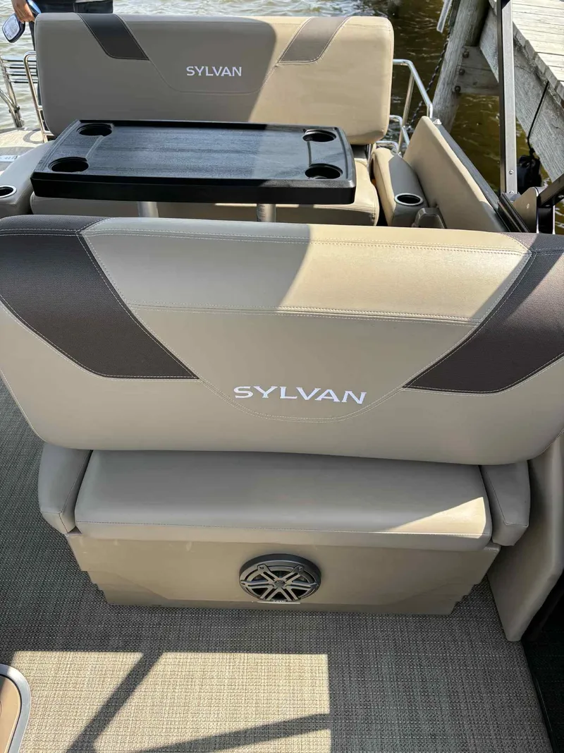 Slide: The Image of Sylvan L1 DLZTT 2022 - 10