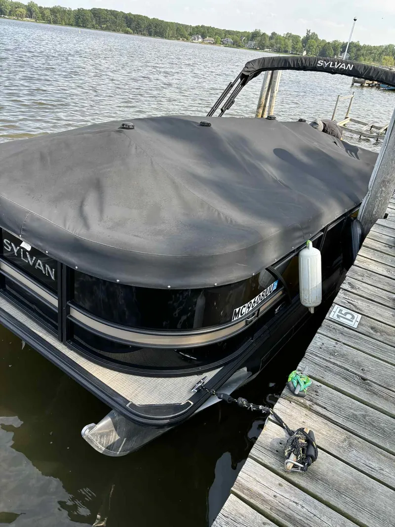 Slide: The Image of Sylvan L1 DLZTT 2022 - 13