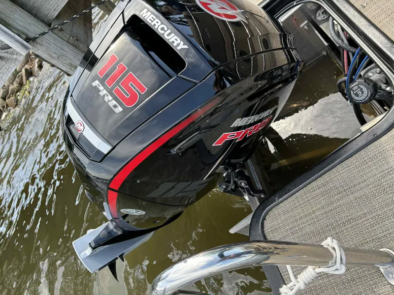 Slide: The Image of Sylvan L1 DLZTT 2022 - 2