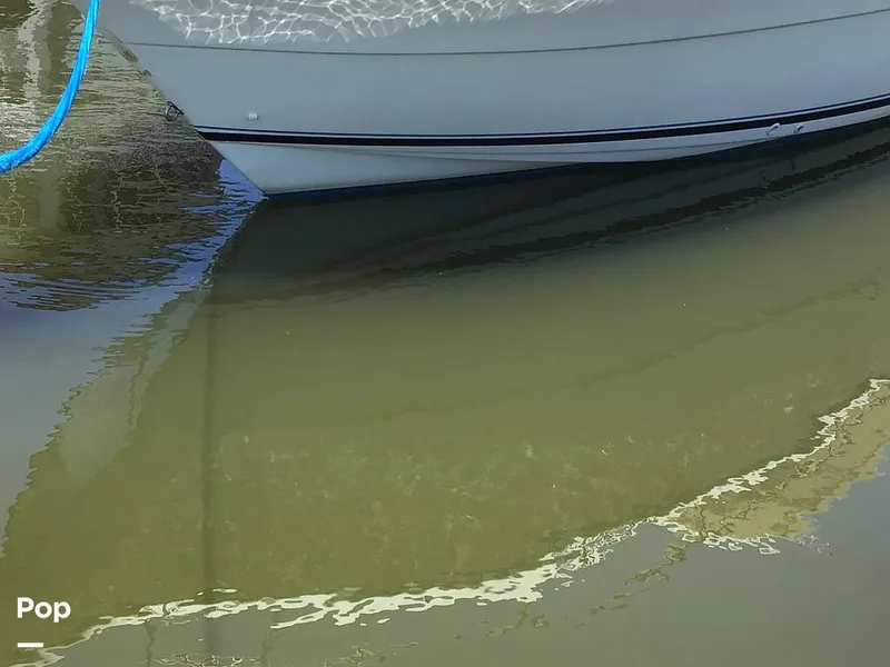 Slide: The Image of Bottom - 14375828