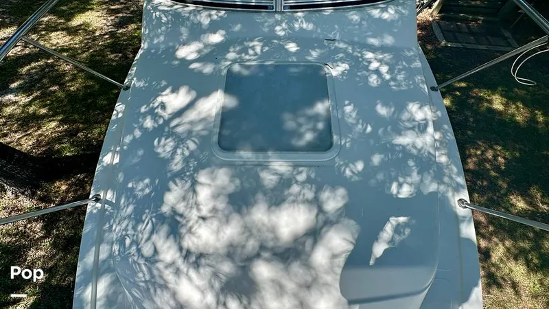 Slide: The Image of photo taken 9.9.2026 - 16726905