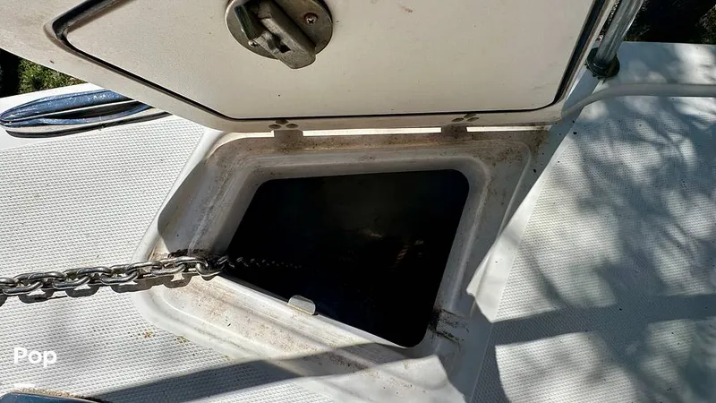Slide: The Image of photo taken 9.9.2026 - 16726914