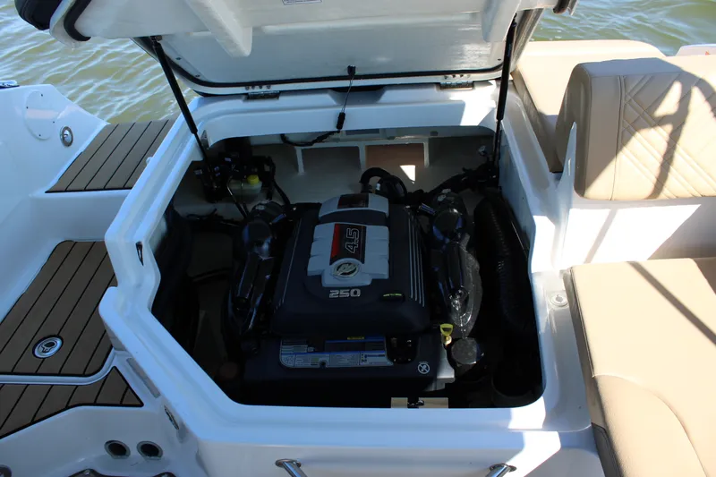 Slide: The Image of Sea Ray SDX 230 2026 - 35