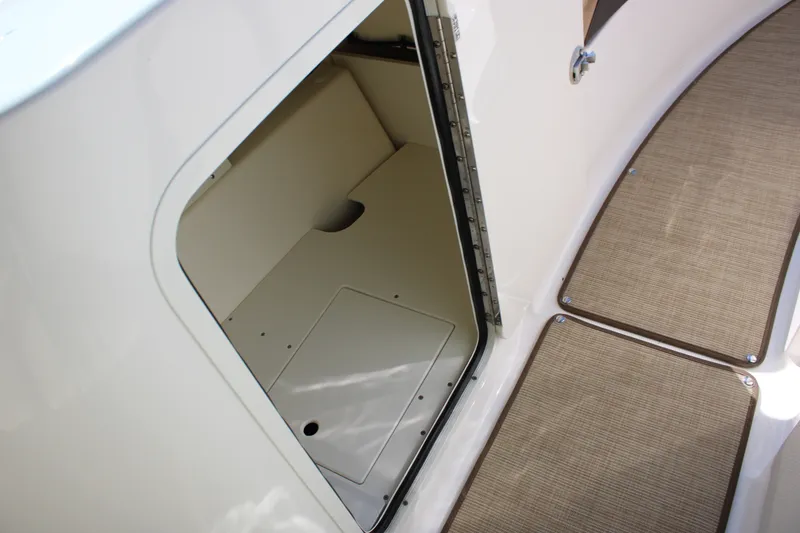 Slide: The Image of Sea Ray SDX 230 2026 - 37