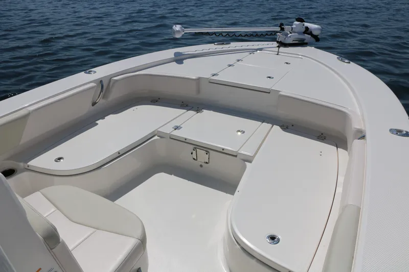 Slide: The Image of Robalo 246 Cayman 2017 - 4