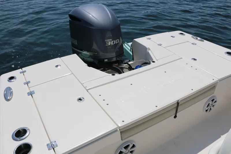Slide: The Image of Robalo 246 Cayman 2017 - 17