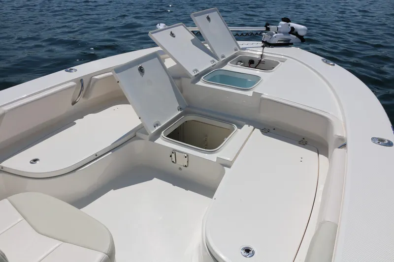 Slide: The Image of Robalo 246 Cayman 2017 - 29