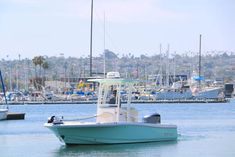The Image of Robalo 246 Cayman 2017 - undefined