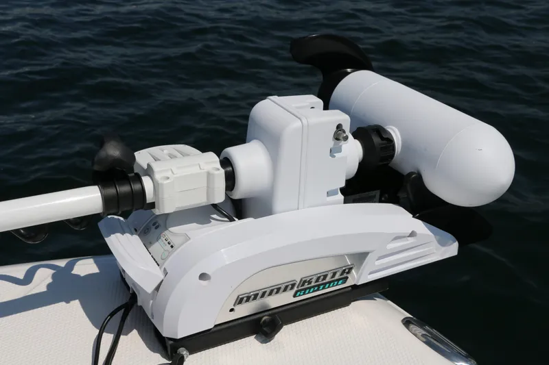 Slide: The Image of Robalo 246 Cayman 2017 - 25