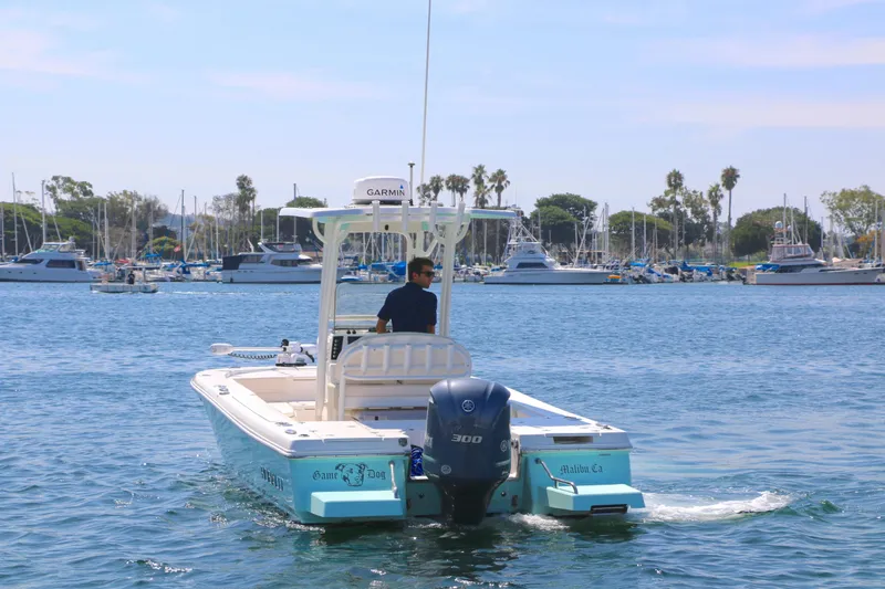 Slide: The Image of Robalo 246 Cayman 2017 - 12