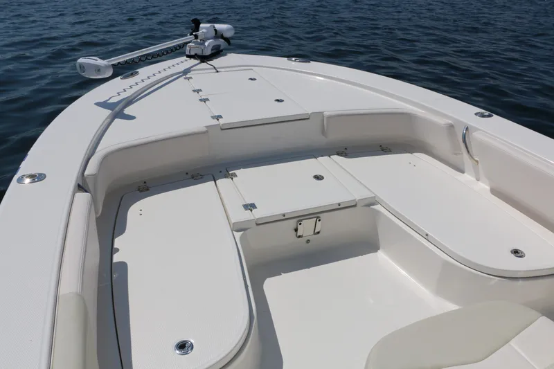 Slide: The Image of Robalo 246 Cayman 2017 - 13