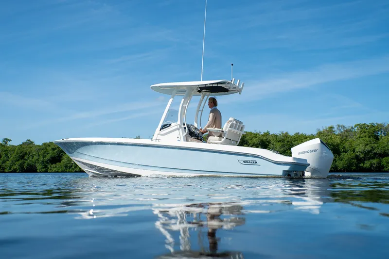 Slide: The Image of Boston Whaler 220 Dauntless 2026 - 1