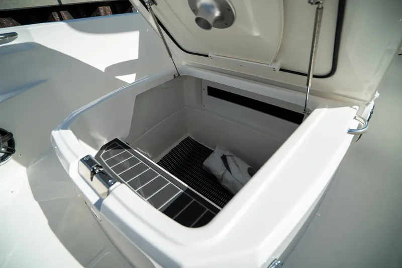 Slide: The Image of Boston Whaler 220 Dauntless 2026 - 15