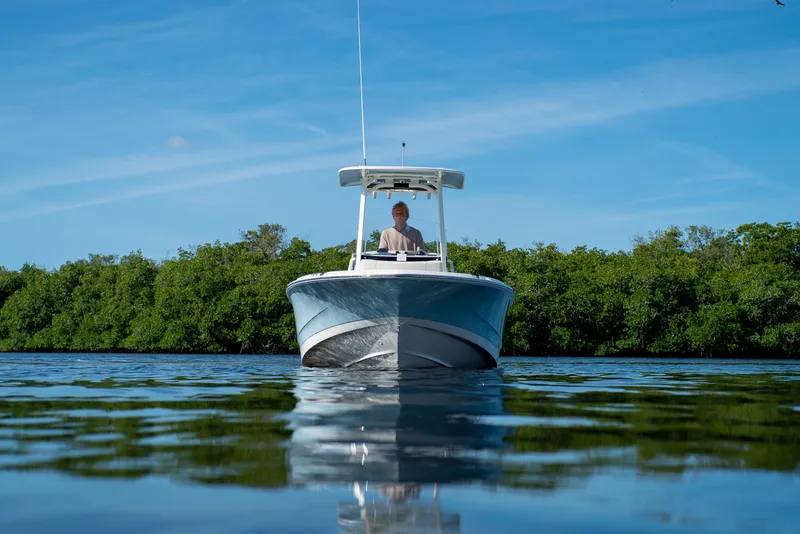 Slide: The Image of Boston Whaler 220 Dauntless 2026 - 20