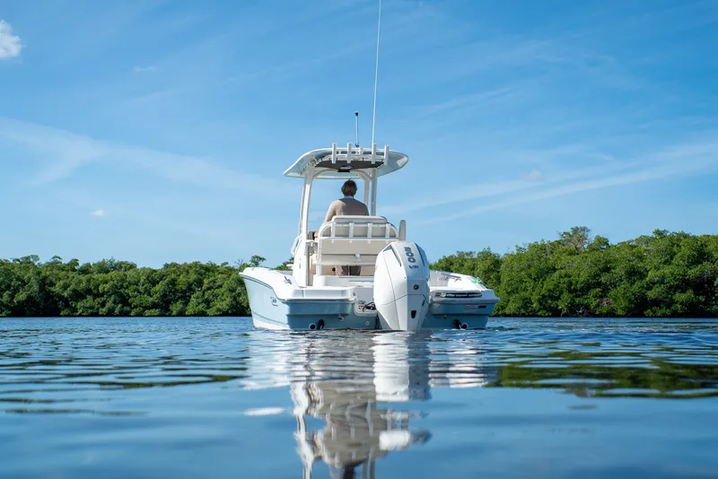 Slide: The Image of Boston Whaler 220 Dauntless 2026 - 25