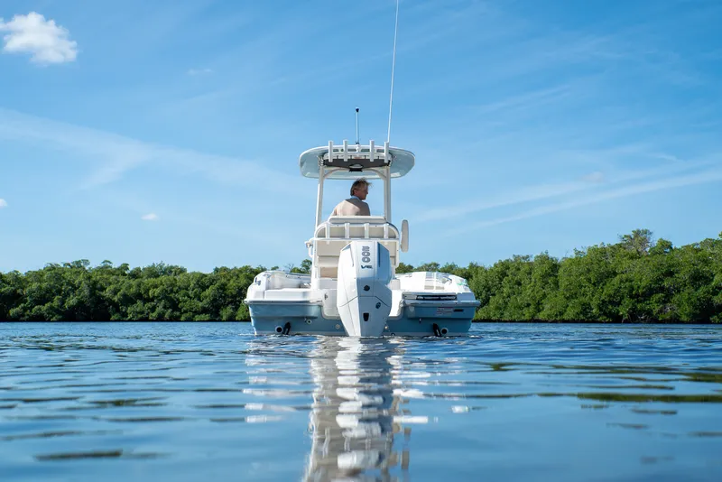 Slide: The Image of Boston Whaler 220 Dauntless 2026 - 26