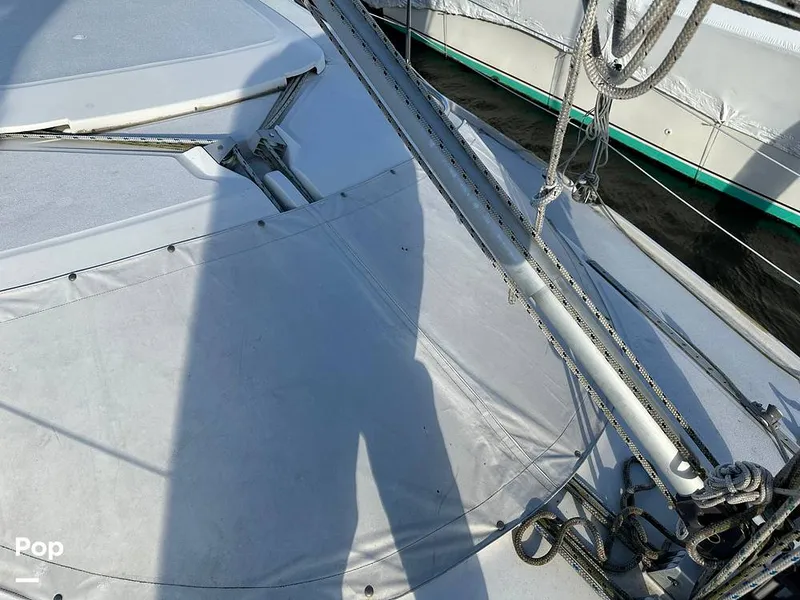 Slide: The Image of Bow Window Cover - 13938829