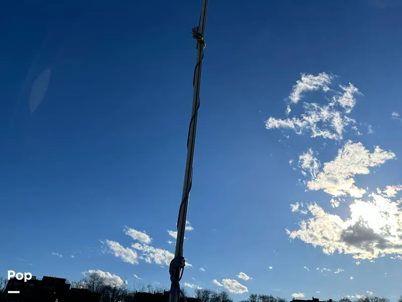 Slide: The Image of Hunter Vision 32 1991 - 13938782