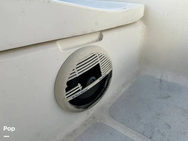 Slide: The Image of Speaker Cover - 13938761