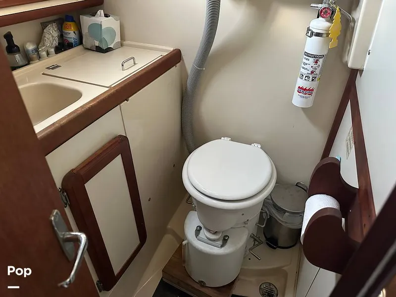 Slide: The Image of Head - 13938800