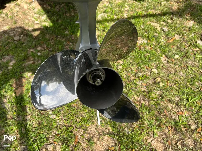 Slide: The Image of Triton 20 XP Patriot 2024 - 13991557