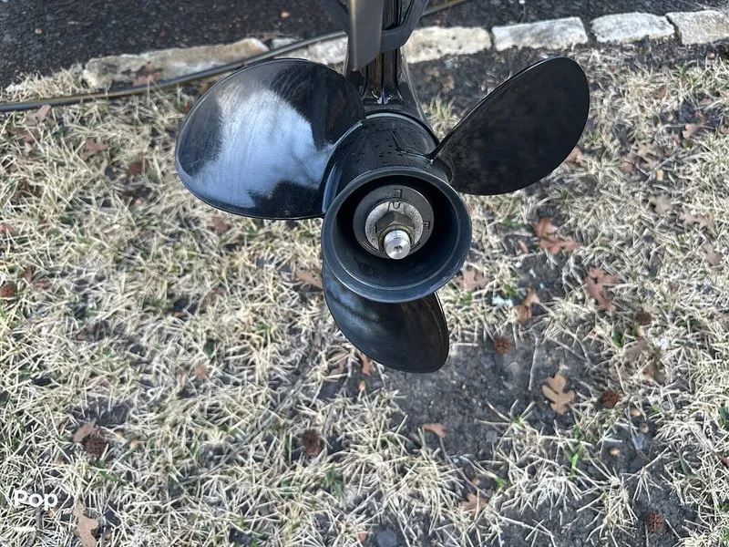 Slide: The Image of Ranger RT178 2021 - 13844855