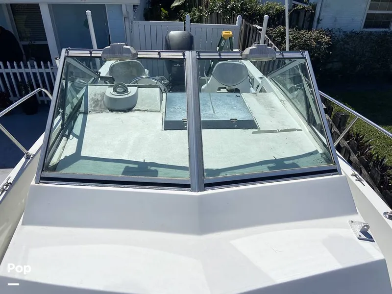 Slide: The Image of Windshield - One Piece - 13840034