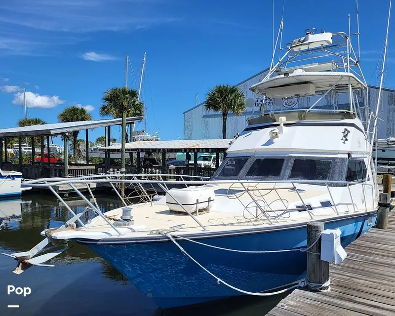 The Image of Rampage 40 Convertible 1987 - 13906801