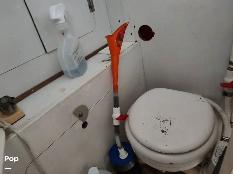 Slide: The Image of Head - 13804757